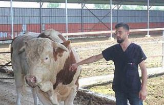 Onu gören şaşırıyor: İkinci el otomobil fiyatına...