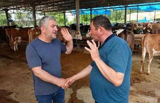 Ordu’da besicilerin gözü 9 günlük bayram tatilinde