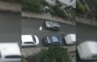 Ordu’da köpek sesinden korkan 2 çocuğa otomobil...