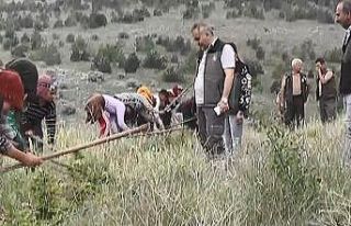 Orman alanlarında düzenli bakım yaparak toprağı...