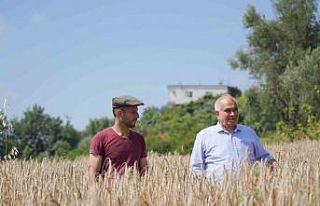 Örnek projeyle atıl araziler üretime kazandırıldı,...