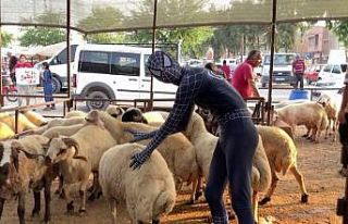 ’Örümcek Adam’ kurban pazarında