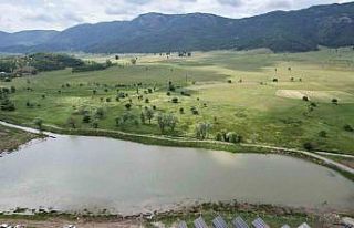 Osmaneli Yaylaları Sulanıyor, Tarımsal Üretim...