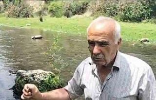 Osmaniye’deki Sabun Çayı’nda balık ölümleri