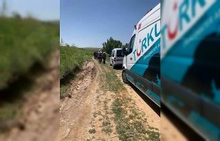 Ot toplamak isteyen yaşlı kadın kayboldu