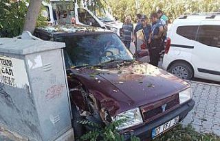 Otomobil önce kaldırılma ardından ağaca çarptı:...