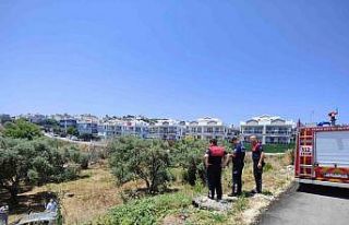 Otomobilinin el frenini çekmeyi unuttu, metrelerce...