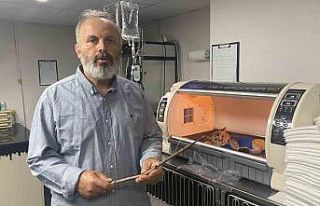 Oyun oynarken camdan atlayan kedinin karnına odun...