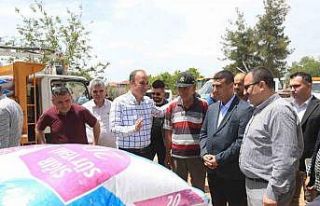 Pamukkale Belediyesi yaraları sarmaya başladı