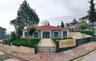 Pamukkale Belediyesinden koca çınarlara müjde