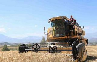 Pamukkale’de hasat başladı