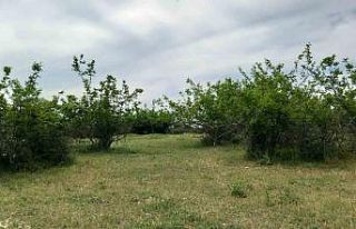 Parçalanmış cesede ilişkin 2 şüpheli tutuklandı