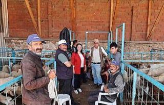 Pazaryeri’nde kurban satış noktası denetlendi