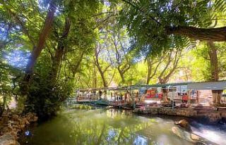 Piknik alanlarında bayram yoğunluğu