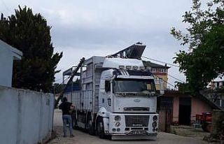 Prefabrik ev elektrik tellerine takıldı