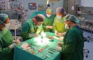 Prostat hastalığı ile karıştırılıyor: Tedavi...