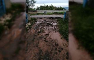 Sağanak sele dönüştü, tarım arazileri zarar...