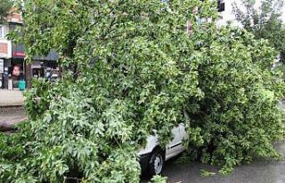 Sağanak yağış yolları göle çevirdi, ağaçları...
