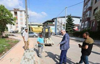 Sahaya inen Başkan Aygün çalışmaları inceledi