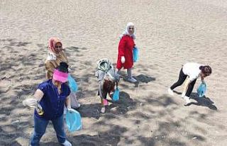 Sahilden sigara izmariti topladılar