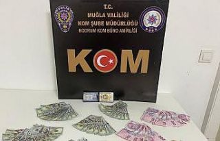 Sahte dövizleri bozdurmak için dükkan dükkan dolaştılar
