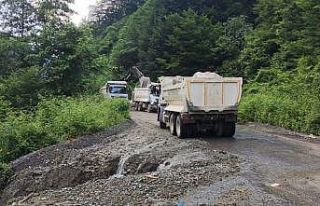 Sakarya Büyükşehir, yağışlarda hasar gören...