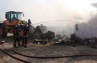 Sakarya’da besi çiftliğinde yangın: 1 kişi dumandan...