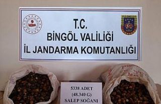 Salep soğanı toplayan kişilere 1 milyon 221 bin...