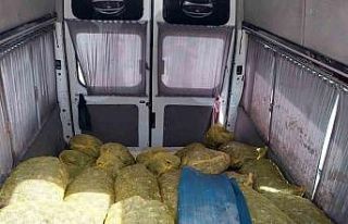 Samsun’da deniz polisi 80 çuval kaçak midye ele...