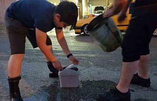 Samsun’da selden etkilenen balıklar ırmağa bırakıldı