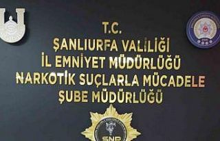 Şanlıurfa’da 20 kilo skunk ele geçirildi