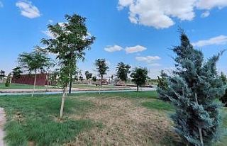 Şanlıurfalılar millet bahçesinde buluşacak