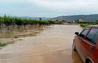 Sarıgöl Ovasını sel vurdu