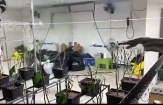 Sarıyer’de sera eve operasyon kamerada: 5 milyon...