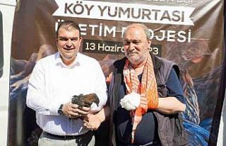 Seferihisar Belediyesinden 400 çiftçiye 4 bin tavuk