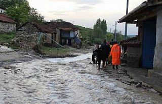 Sel felaketinde 3 ev yıkıldı, çok sayıda hayvan...