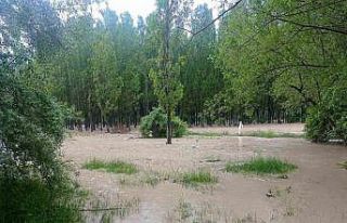 Sel, tarım arazilerine zarar verdi