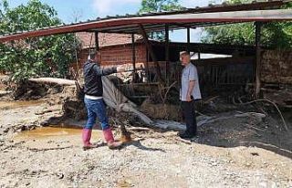 Sele kapılan hayvanları için gözyaşı döktü