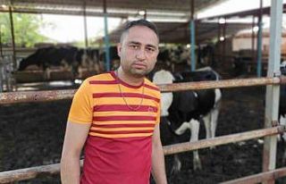 Sele kapılan hayvanlarını gözyaşlarıyla çeken...