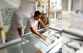 Serik’te balık satan iş yerleri denetlendi