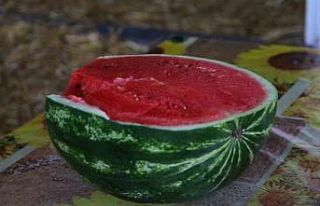 Serin giden hava, karpuzun fiyatını 1 liraya kadar...