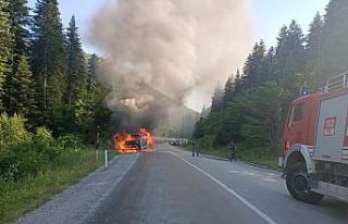 Seyir halindeki çekici alev alev yandı