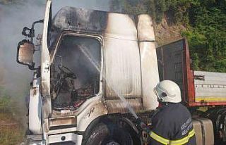 Seyir halindeki tır alev alev yandı, sürücü canını...