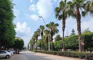 Sıcaklık artınca Adanalı şehri terk etti