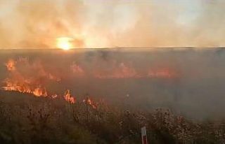 Sigara izmariti Ziraat Odası Başkanının 20 dönüm...