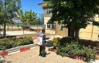Siirt’te haşerelere ve kötü kokuya karşı ilaçlama...