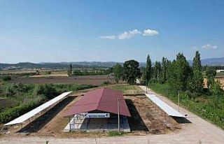 Sındırgı’da kurban pazarı panayır alanında