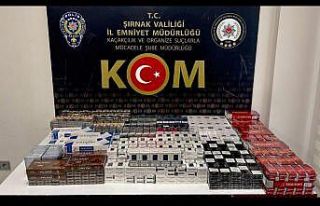 Şırnak’ta kaçakçılık operasyonu: 52 gözaltı