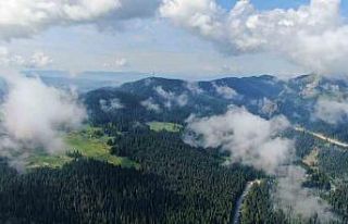 Sis bulutları ile kaplanan Ilgaz Dağı’nda mest...