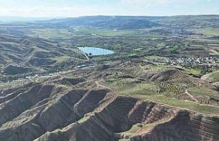 Sivas’a yeni bir orman kazandırılacak